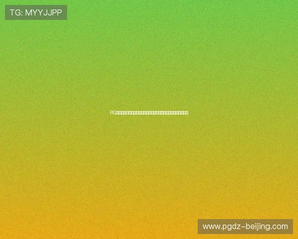 PG丸子导航助力用户快速获取世界杯最新赛程与比分信息全方位报道